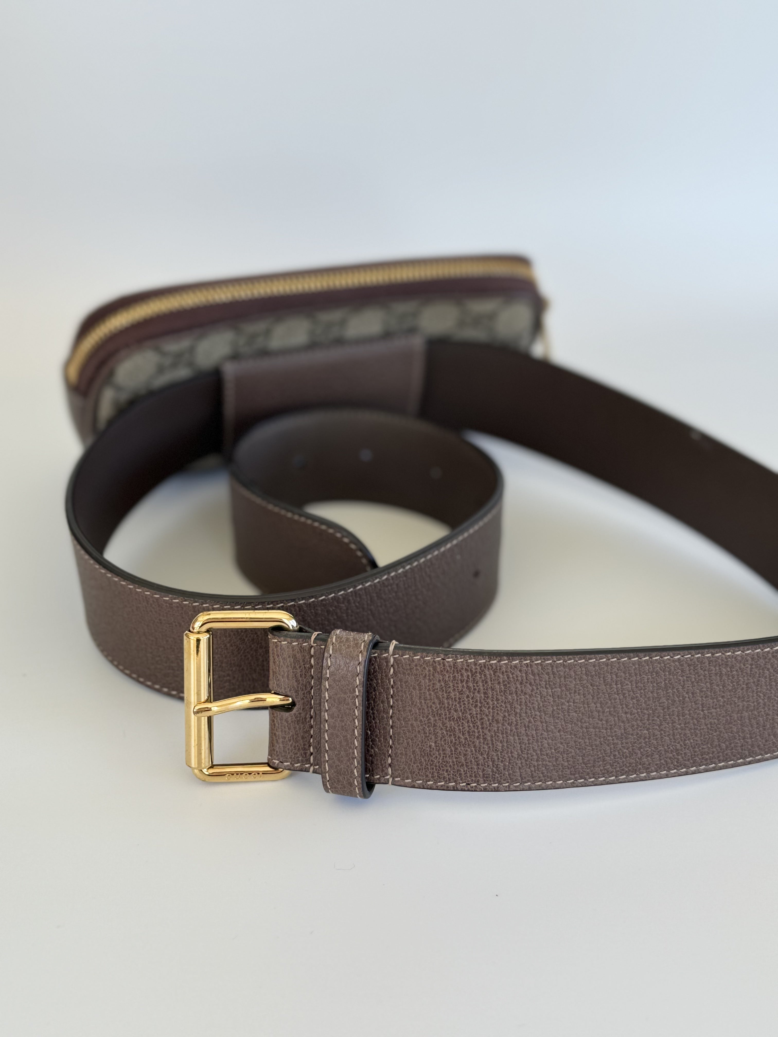 GG Small Ophidia Waist Belt